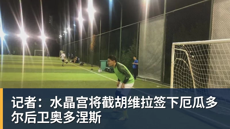 记者：水晶宫将截胡维拉签下厄瓜多尔后卫奥多涅斯