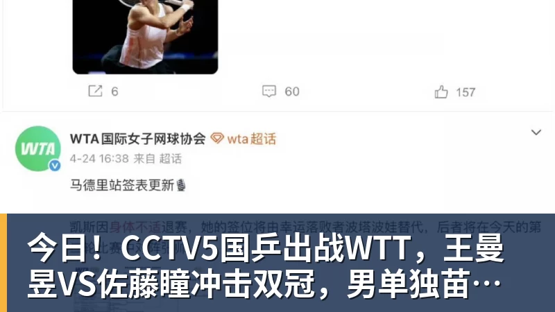今日！CCTV5国乒出战WTT，王曼昱VS佐藤瞳冲击双冠，男单独苗周启豪PK松岛辉空